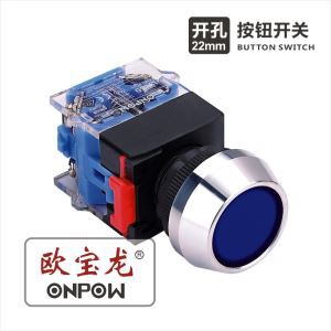 Großer Knopfschalter